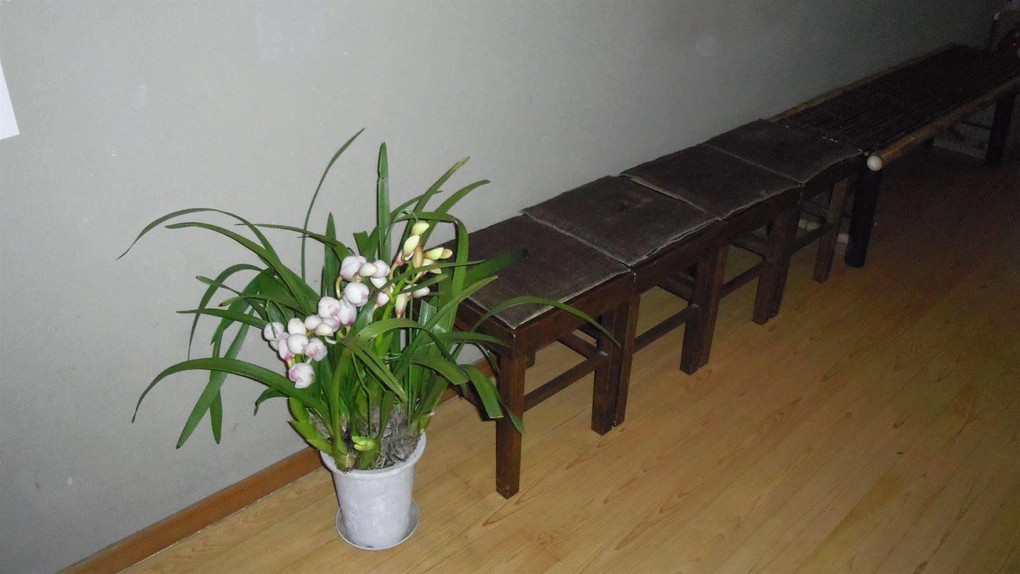 Ohto Ryokan 京都 外观 照片